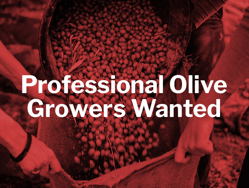 Professional Oliver Growers Wanted